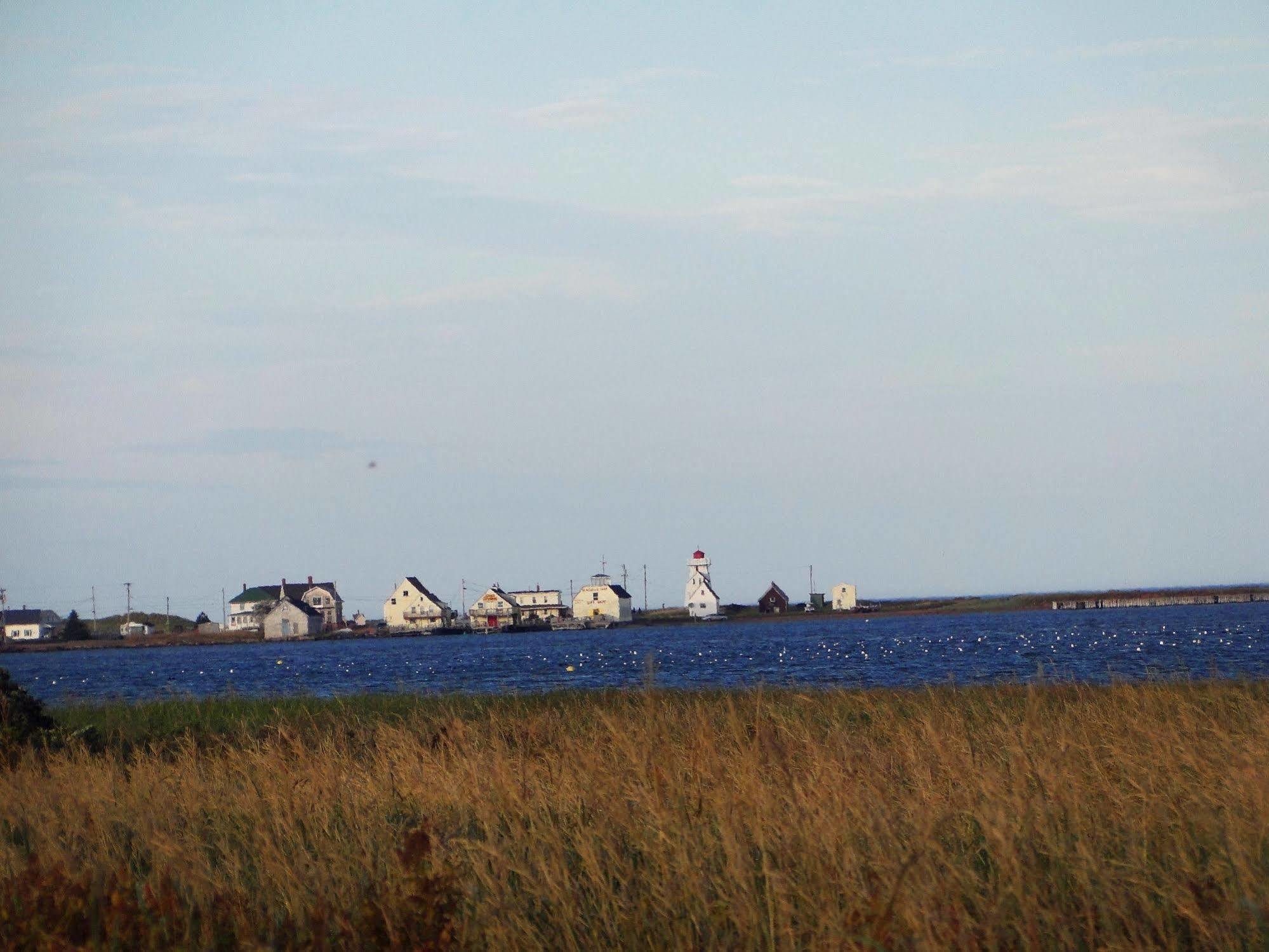 Blue Crest Cottages Норт-Растико Экстерьер фото